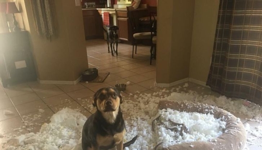 20 casos ofensivos cuando alguien es muy desafortunado