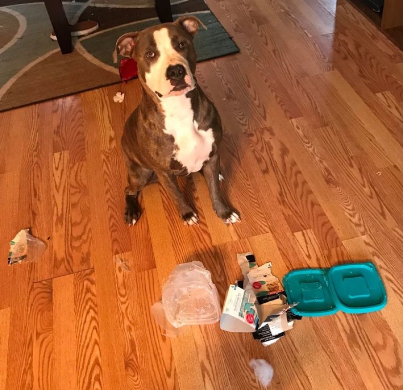 20 casos ofensivos cuando alguien es muy desafortunado 20 casos ofensivos cuando alguien es muy desafortunado