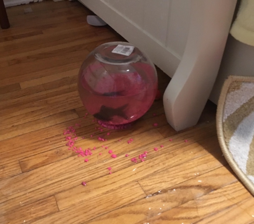 20 coincidences that prove that life likes to joke with us