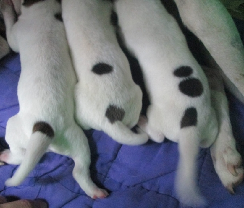 20 coincidences that prove that life likes to joke with us