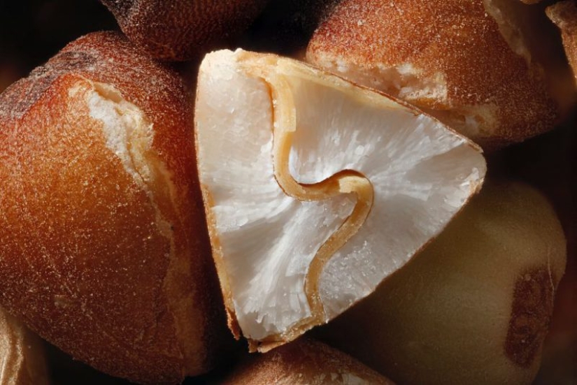 20 cosas aparentemente discretas que resultaron sorprendentemente hermosas por dentro 20 cosas aparentemente discretas que resultaron sorprendentemente hermosas por dentro