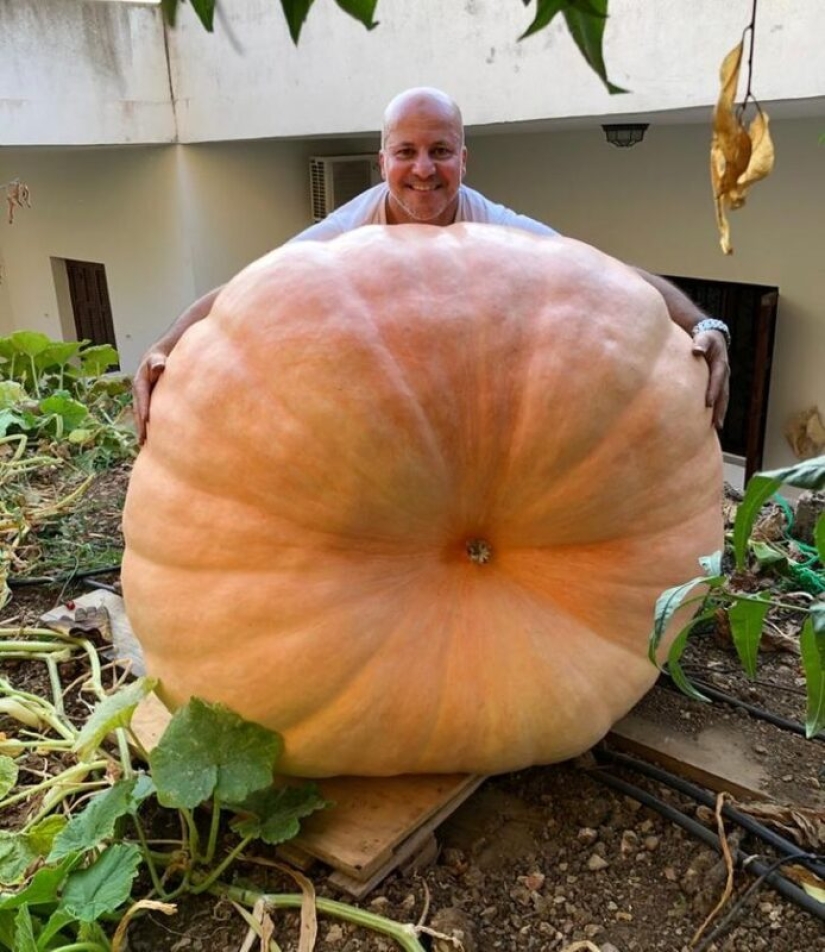 20 cosas que si no son capturados en la foto, nadie habría creído