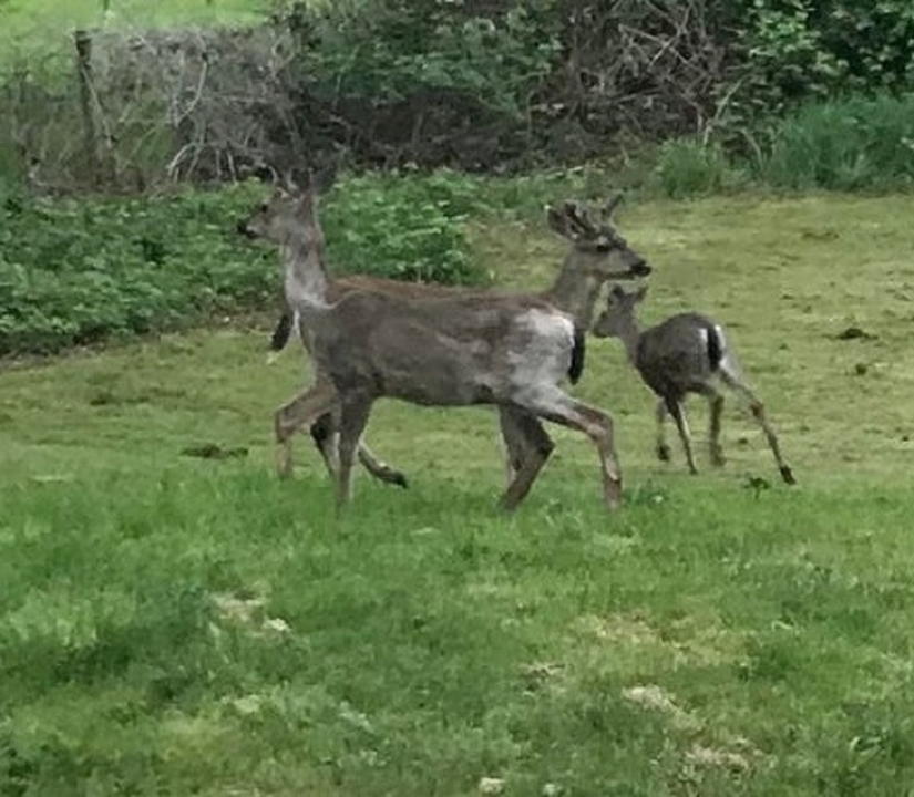 20 crashes in the Matrix: these photos are completely real, no photoshop 20 crashes in the Matrix: these photos are completely real, no photoshop