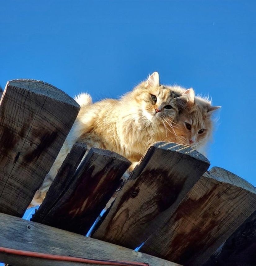 20 crashes in the Matrix: these photos are completely real, no photoshop 20 crashes in the Matrix: these photos are completely real, no photoshop