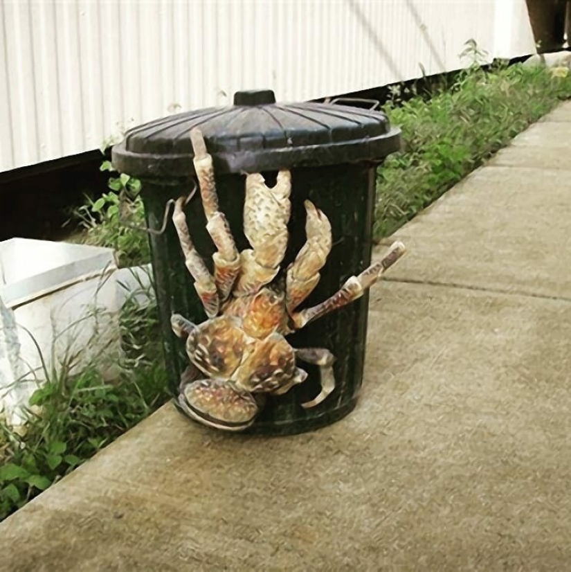 20 creaciones de la naturaleza que pueden causar horror incluso en una persona con una psique fuerte 20 creaciones de la naturaleza que pueden causar horror incluso en una persona con una psique fuerte