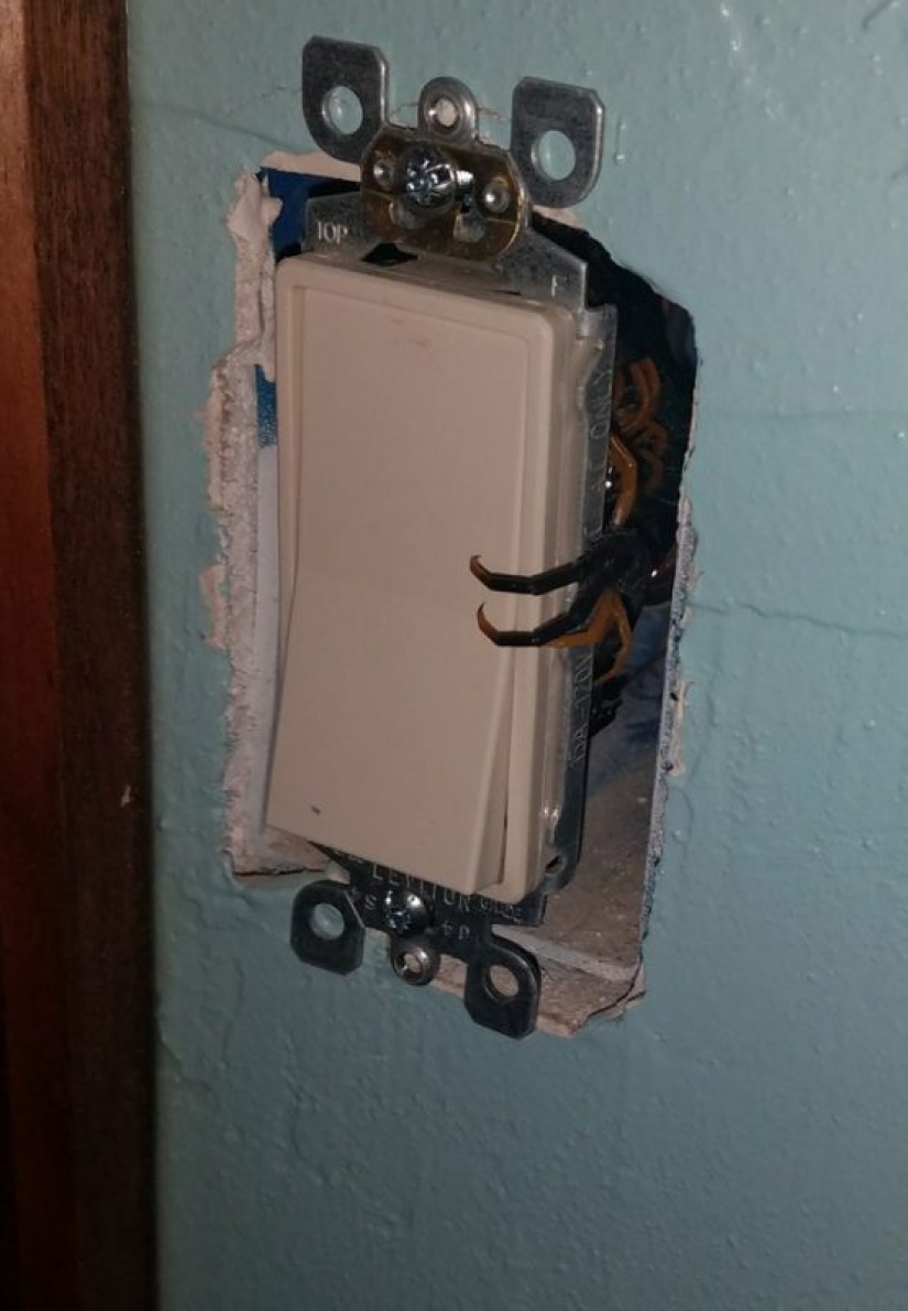 20 creaciones de la naturaleza que pueden causar horror incluso en una persona con una psique fuerte 20 creaciones de la naturaleza que pueden causar horror incluso en una persona con una psique fuerte