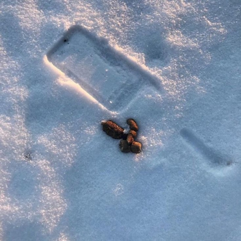 20 de los afortunados que lograron evitar el desastre 20 de los afortunados que lograron evitar el desastre