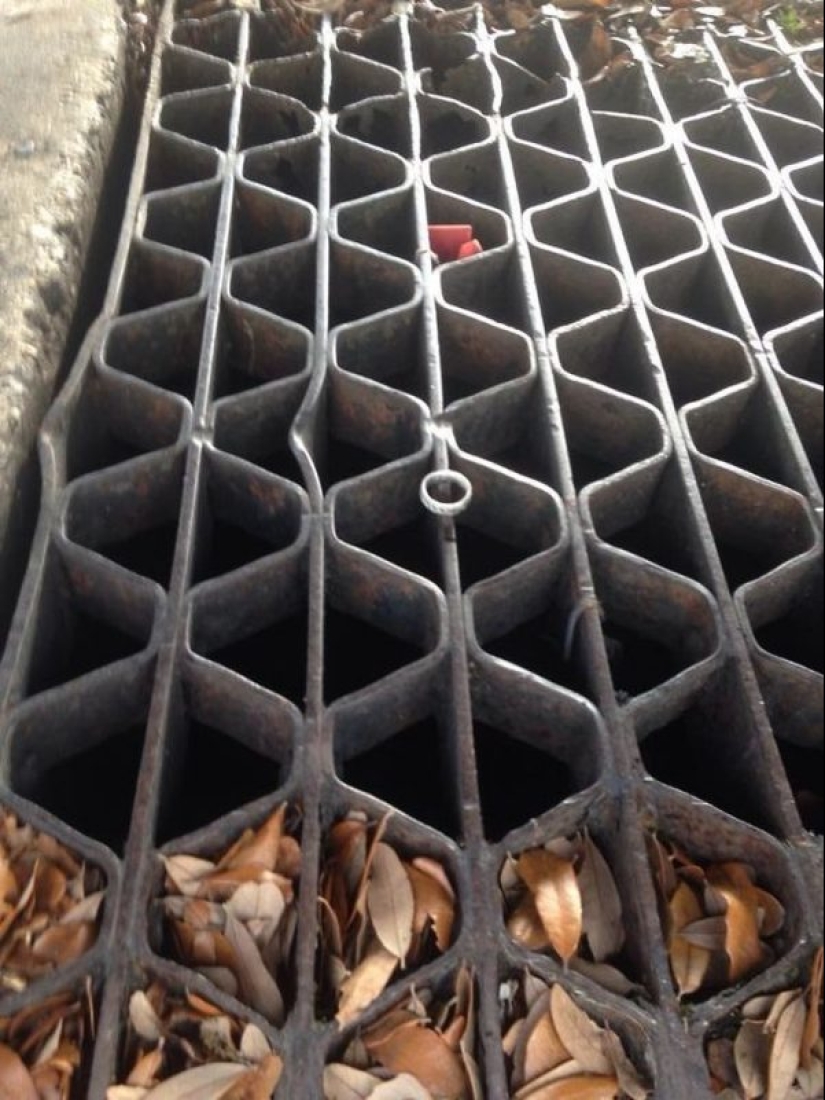 20 de los afortunados que lograron evitar el desastre 20 de los afortunados que lograron evitar el desastre