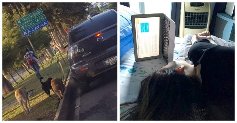 20 divertidos ejemplos de cuando la madre pereza ganó