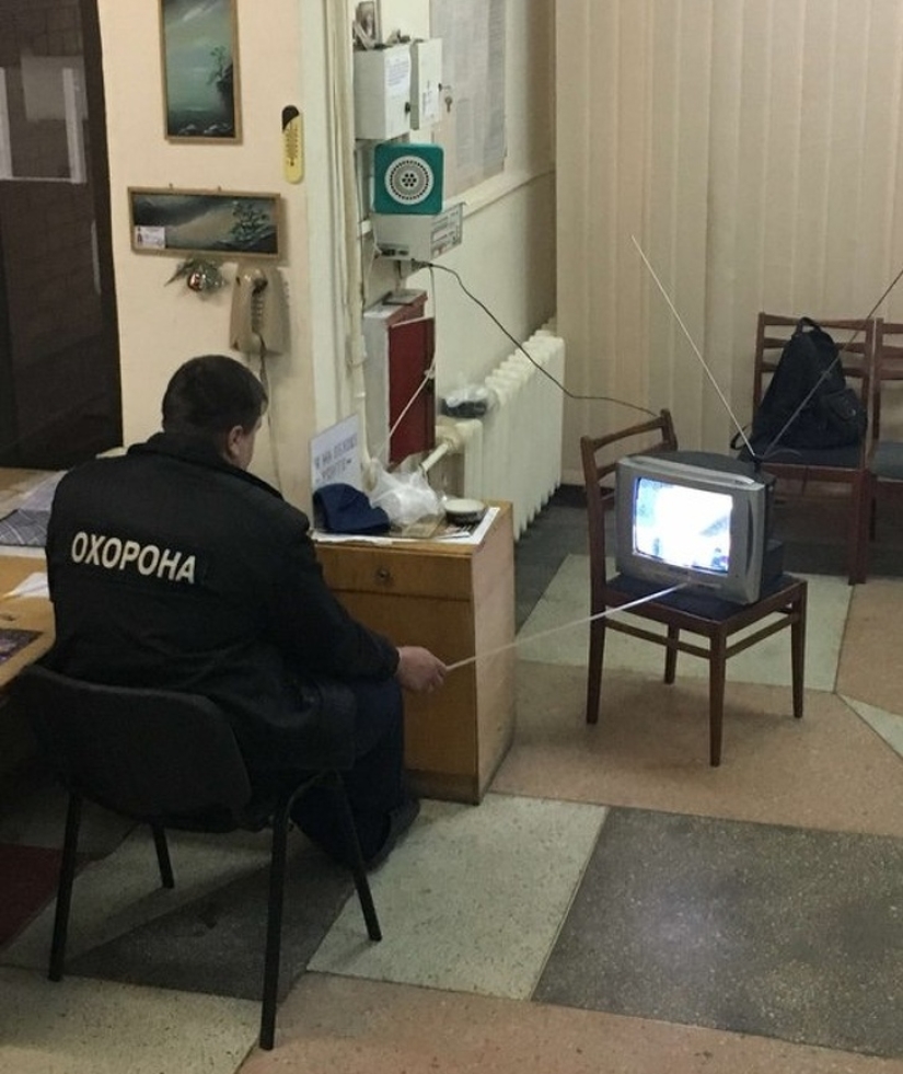 20 divertidos ejemplos de cuando la madre pereza ganó