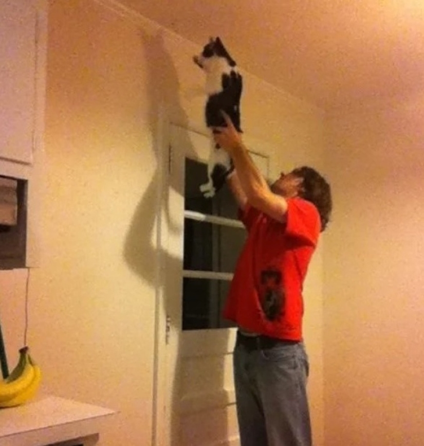 20 divertidos ejemplos de cuando la madre pereza ganó