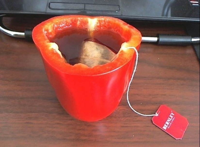 20 divertidos ejemplos de cuando la madre pereza ganó