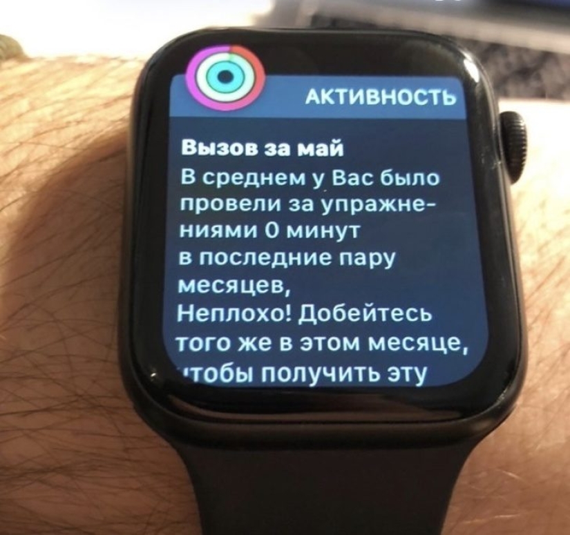 20 divertidos ejemplos de cuando la madre pereza ganó