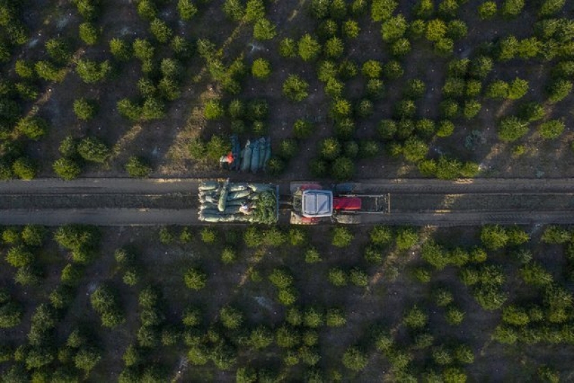 20 dizzying views from a height 20 dizzying views from a height