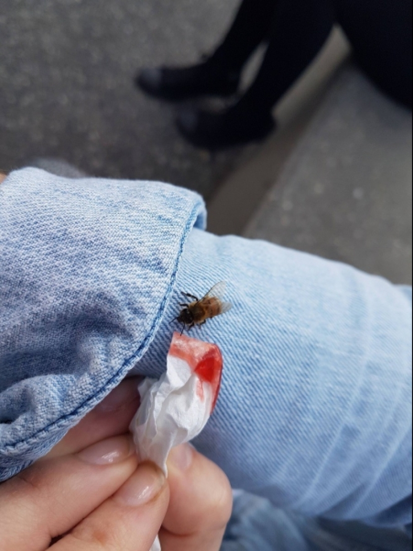 20 dramatic photos that moved any depths