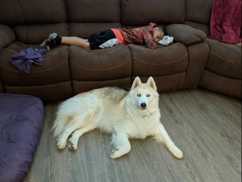 20 dramatic photos that moved any depths