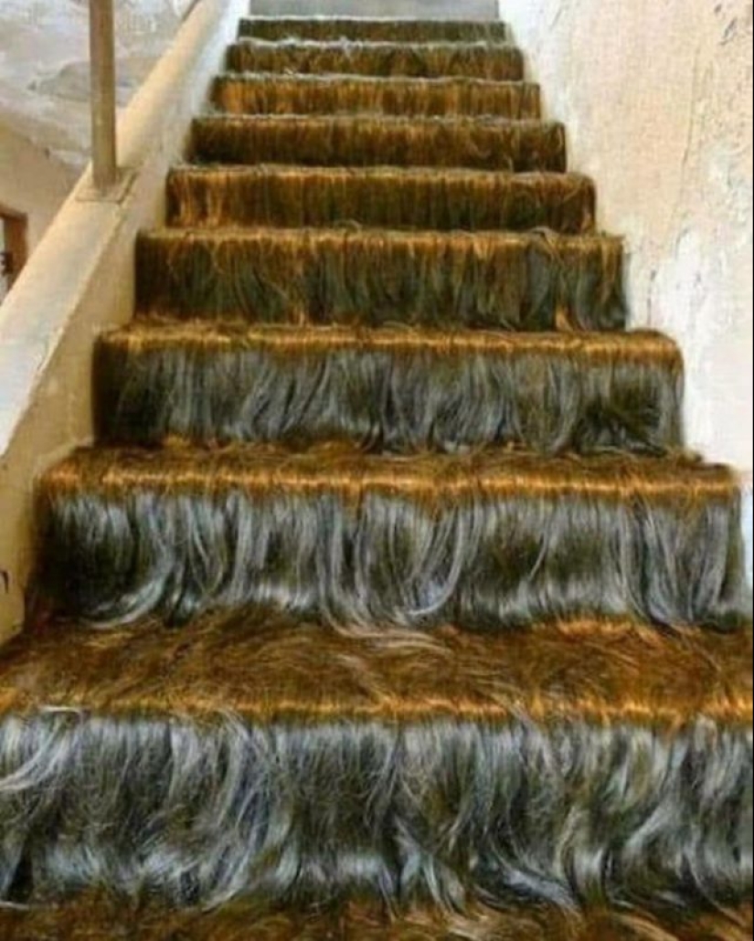 20 ejemplos de diseño de interiores que te dan ganas de llorar y reír