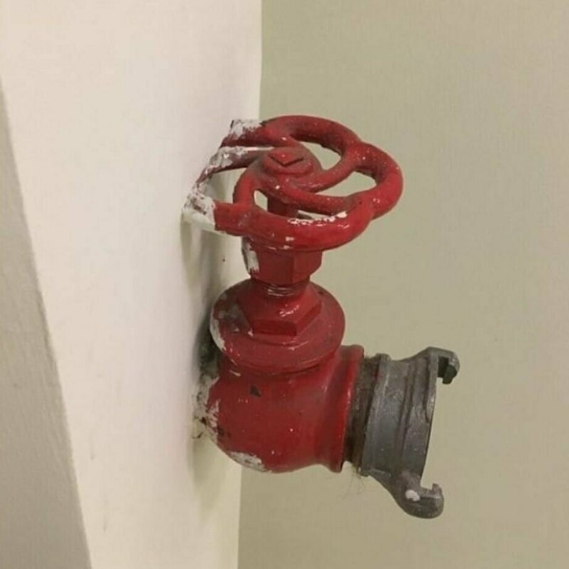 20 examples of that construction does not always obey human logic 20 examples of that construction does not always obey human logic