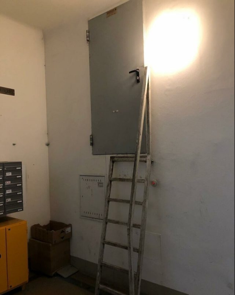 20 examples of that construction does not always obey human logic 20 examples of that construction does not always obey human logic