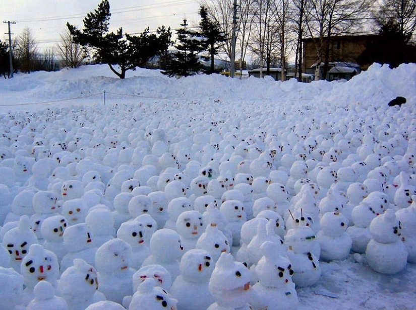 20 examples of what else, besides a snowman, can be made of snow