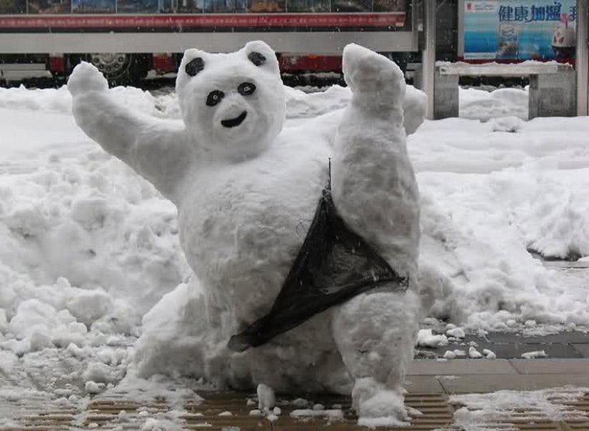 20 examples of what else, besides a snowman, can be made of snow