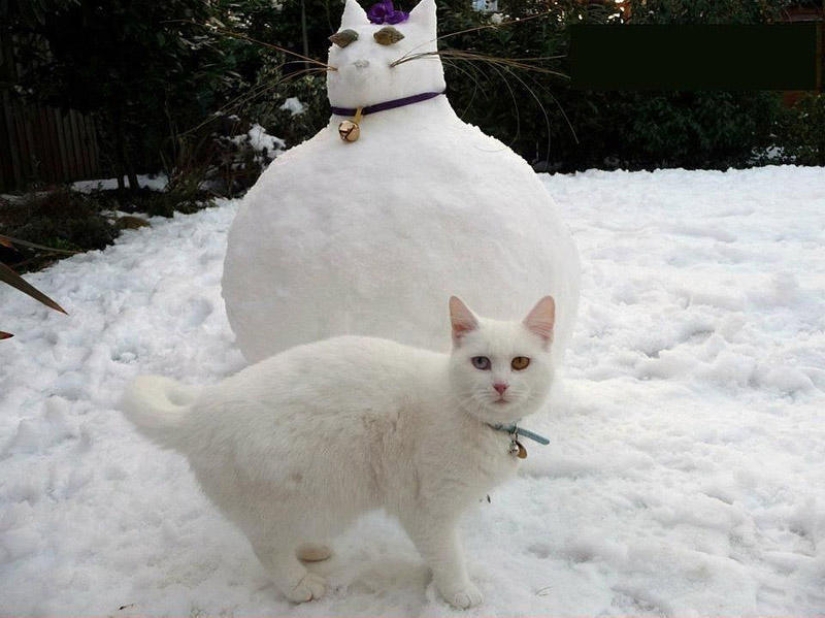 20 examples of what else, besides a snowman, can be made of snow