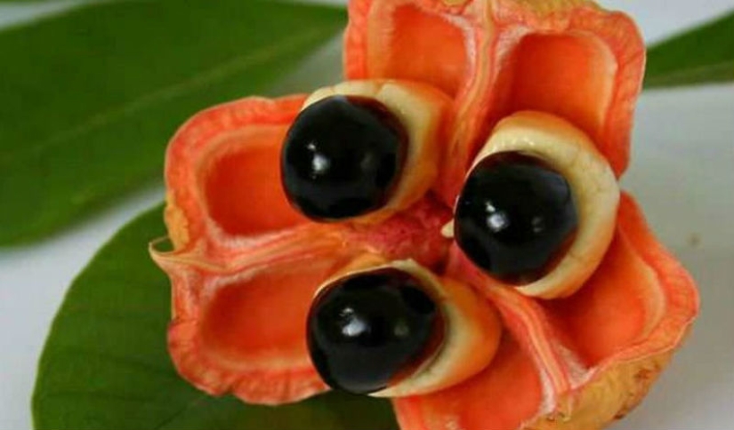 20 exotic fruits from around the world, which you never heard