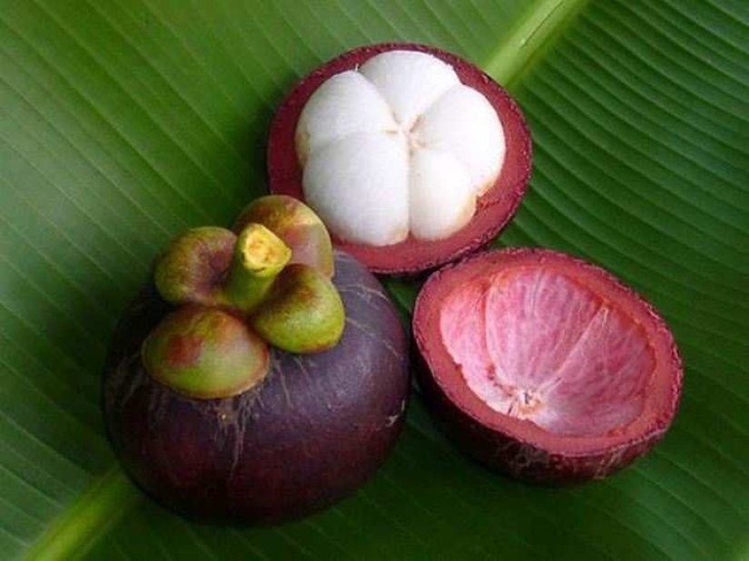 20 exotic fruits from around the world, which you never heard