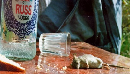 20 formas inusuales para usar vodka