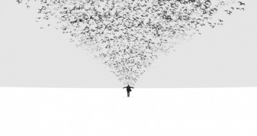 20 fotos con nada superfluo en ellos 20 fotos con nada superfluo en ellos