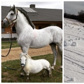 20 fotos de cosas únicas que la mayoría de la gente nunca verá