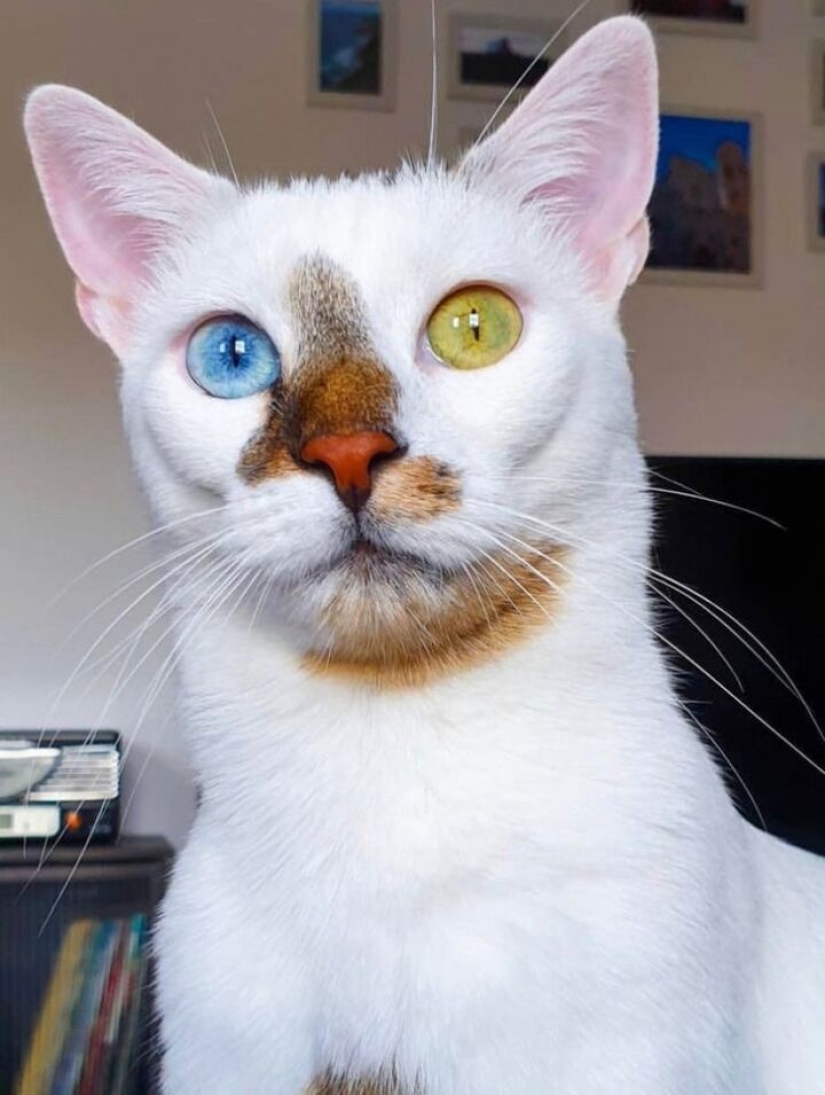 20 fotos de cosas interesantes que raramente se ve y si usted es muy afortunado