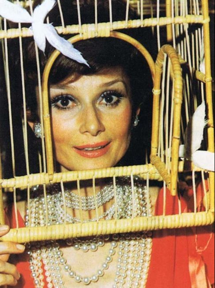 20 fotos de la fiesta masónica secreta en 1972, de la que la piel de gallina 20 fotos de la fiesta masónica secreta en 1972, de la que la piel de gallina