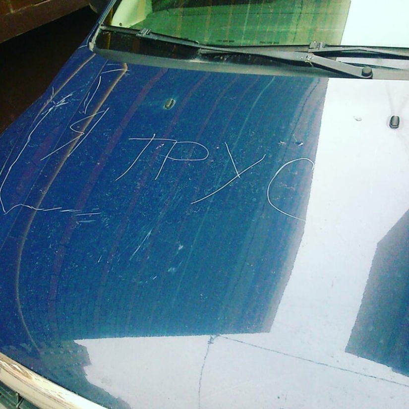 20 fotos demostrando que la venganza puede ser diferente 20 fotos demostrando que la venganza puede ser diferente