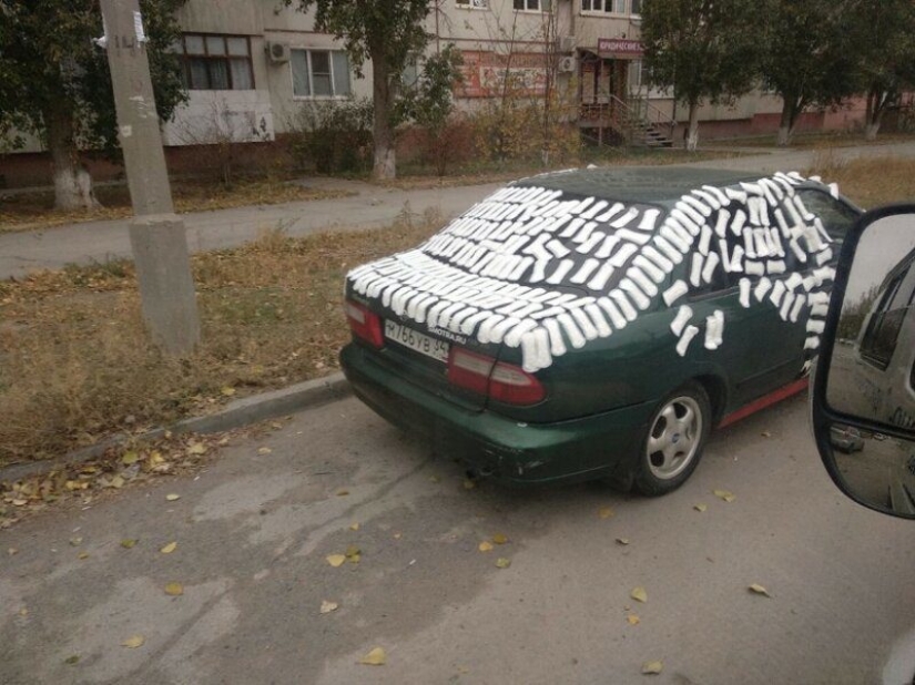 20 fotos demostrando que la venganza puede ser diferente 20 fotos demostrando que la venganza puede ser diferente