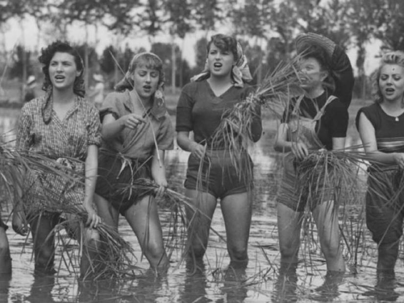 20 fotos históricas que definitivamente no has visto! 20 fotos históricas que definitivamente no has visto!