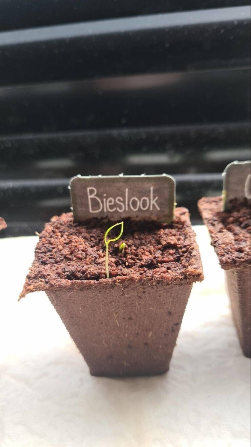 20 + fotos interesantes con fenómenos raros e inusuales