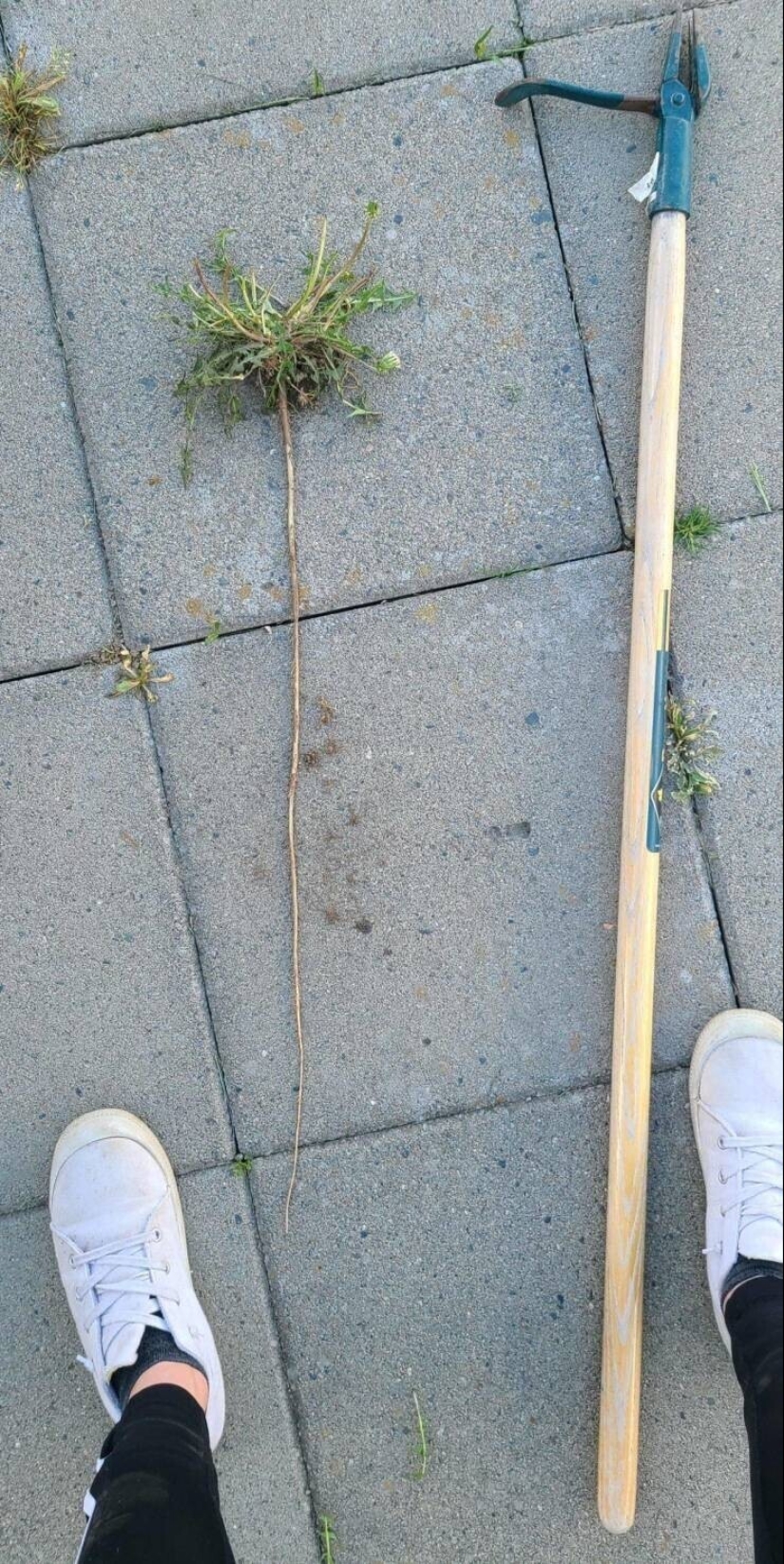 20 + fotos interesantes con fenómenos raros e inusuales