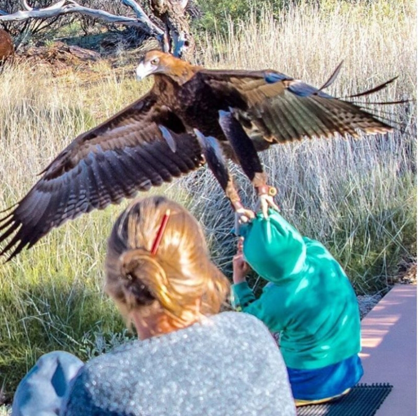 20 fotos que fueron tomadas en el momento justo