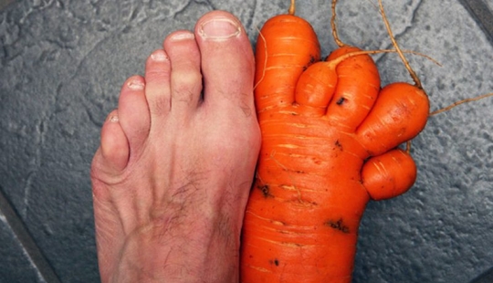 20 fruits and vegetables that forgot they're plants