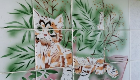 20 funny joints that you won't even look at without shuddering