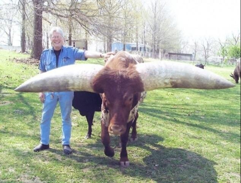 20 gigantescos objetos naturales que te sorprenderán