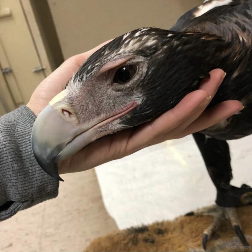 20 gigantescos objetos naturales que te sorprenderán