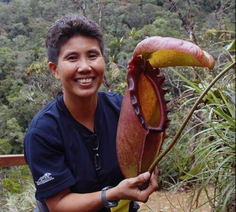 20 gigantescos objetos naturales que te sorprenderán