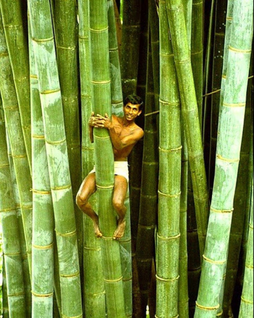 20 gigantescos objetos naturales que te sorprenderán