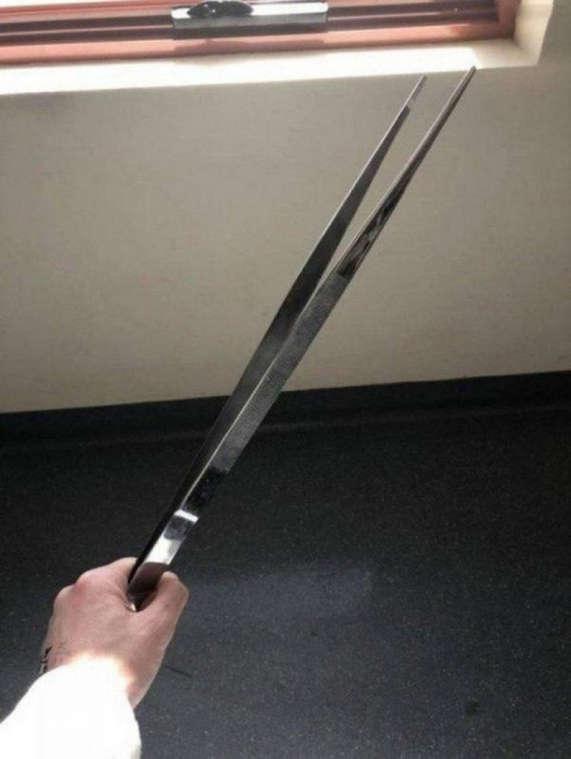 20 grandes cosas, para estimar el tamaño de lo que puede ser comparado con sólo 20 grandes cosas, para estimar el tamaño de lo que puede ser comparado con sólo