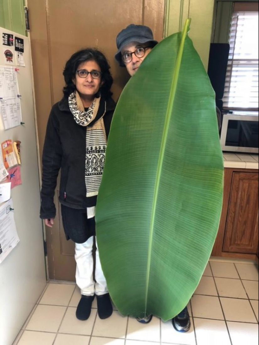 20 grandes cosas, para estimar el tamaño de lo que puede ser comparado con sólo 20 grandes cosas, para estimar el tamaño de lo que puede ser comparado con sólo