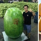 20 great things, to estimate the size of which can be compared only