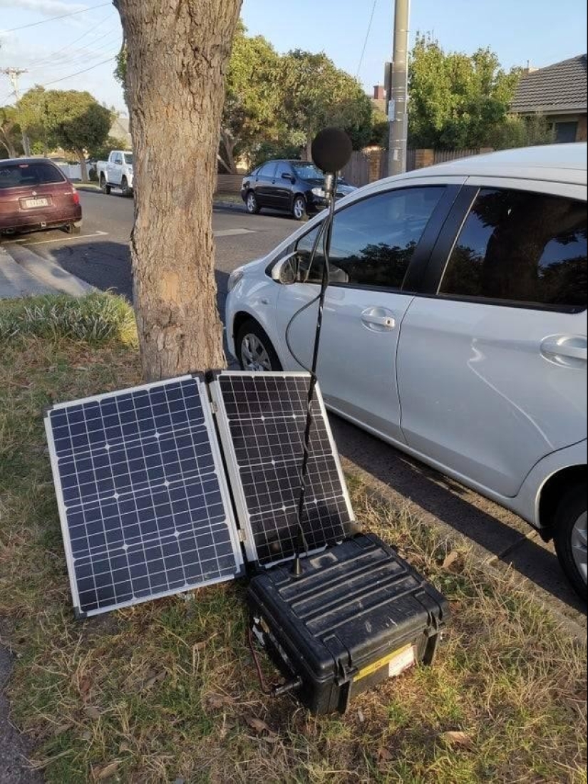 20 hallazgos extraños, cuyo origen se descubrió gracias a la Red 20 hallazgos extraños, cuyo origen se descubrió gracias a la Red