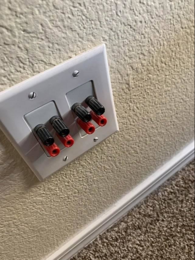 20 hallazgos extraños, cuyo origen se descubrió gracias a la Red 20 hallazgos extraños, cuyo origen se descubrió gracias a la Red